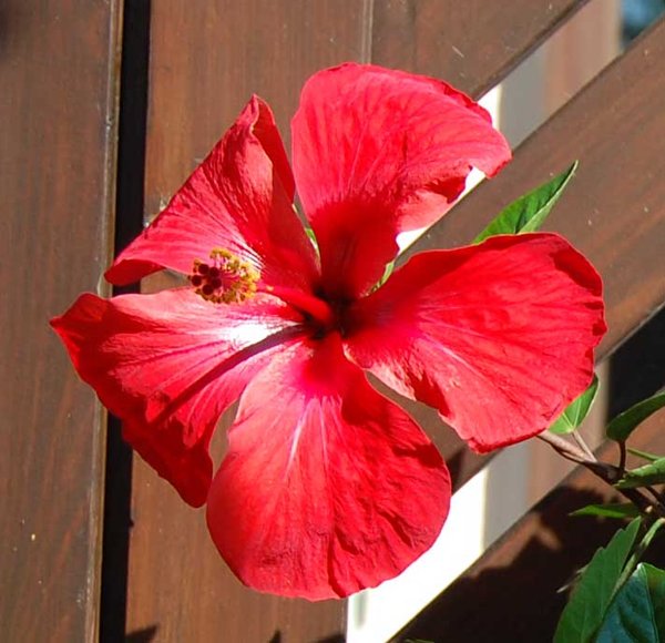 DSC_0256a.JPG