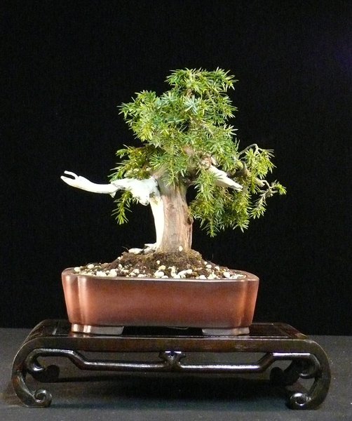 P1050268k.JPG