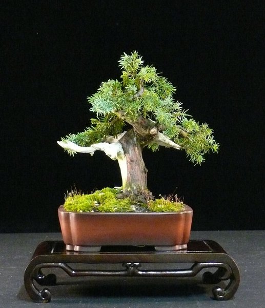 P1060833k.JPG