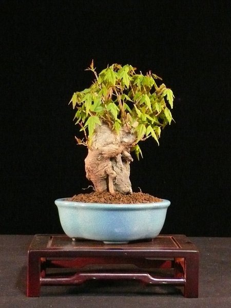 P1050477k.JPG