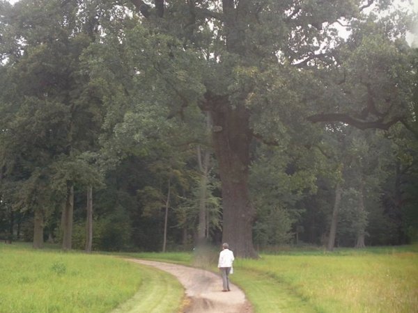 Foto3101.jpg