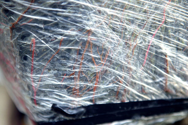 detail wurzeln 5.jpg