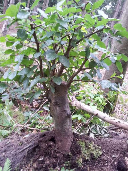 20120711_163428.JPG