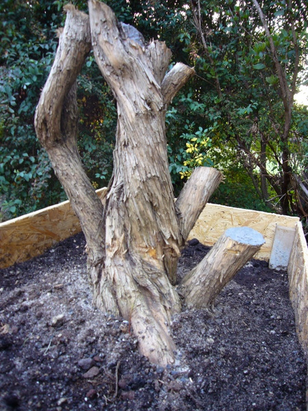 P1070201.JPG