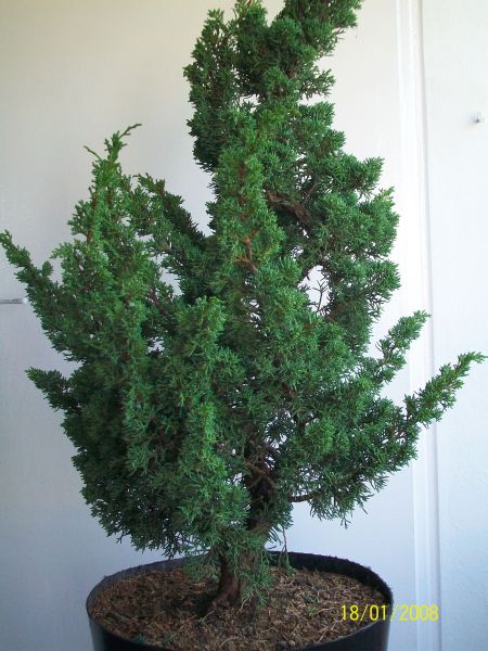 100_2827.jpg