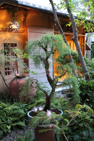 nochmal Garten
