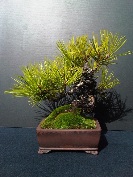 IMG01359-20120912-1156.jpg