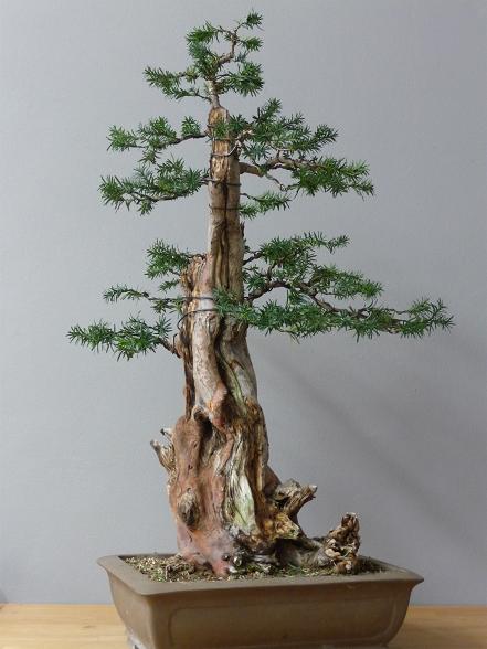 september 2012 032.jpg