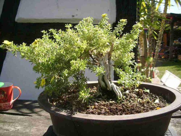 2012-08-08 07.27.20.jpg