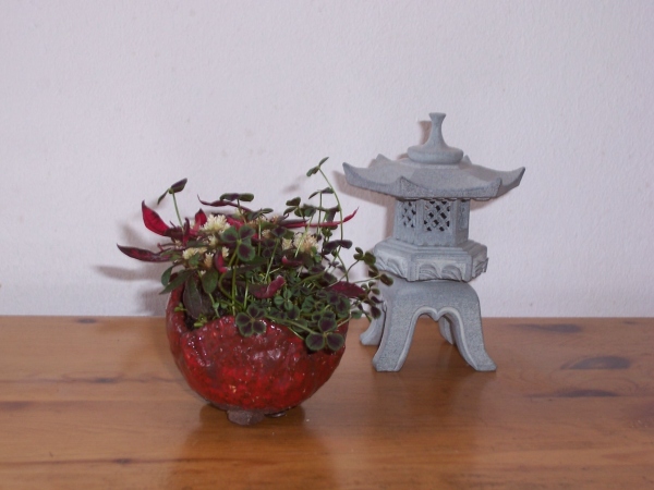 100_1423.jpg