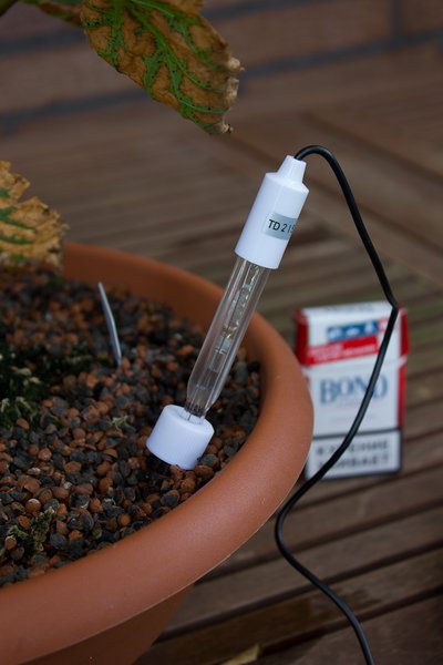 pH-Messung an Baum 1: Glassonde im feuchten Substrat (1 Std. nach Wässerung)