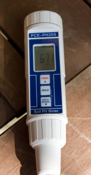 pH-Messung an Baum 2: angezeigter Wert