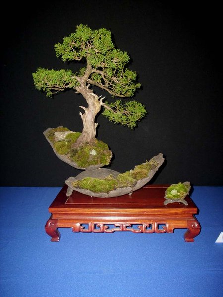DSCI0031.jpg