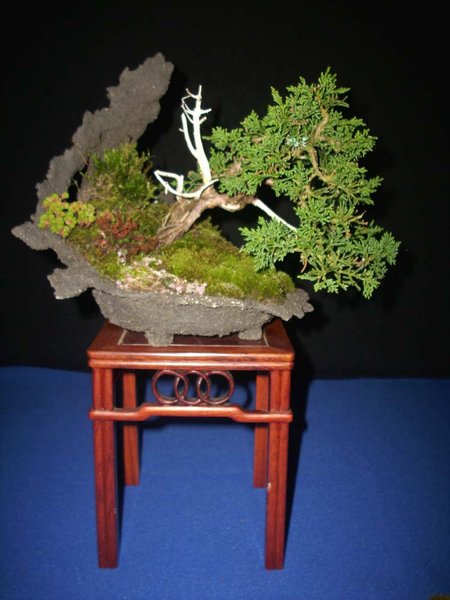 DSCI0033.jpg