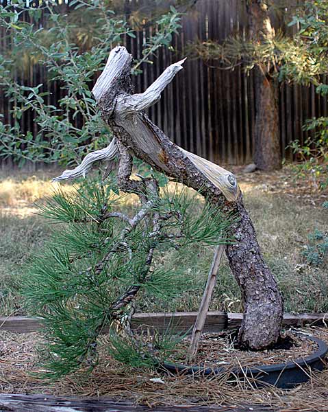 Dsc_1458v.jpg