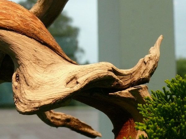 P1070033k.JPG