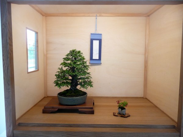 bonsai burghausen 003.jpg