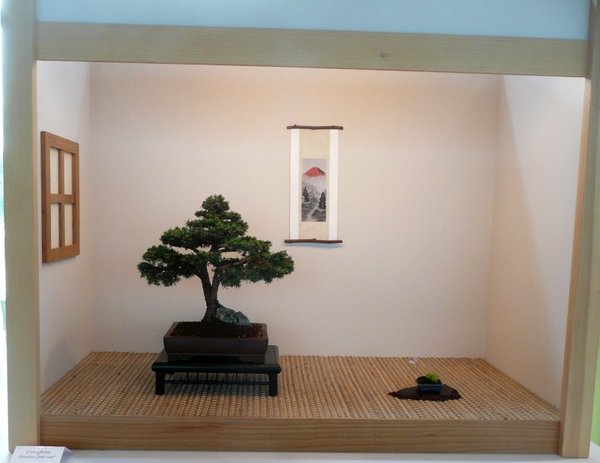 bonsai burghausen 007.jpg