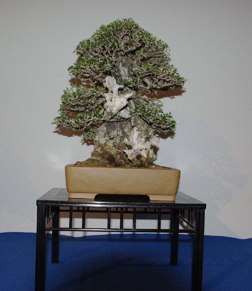 Bl 14_1_1.jpg