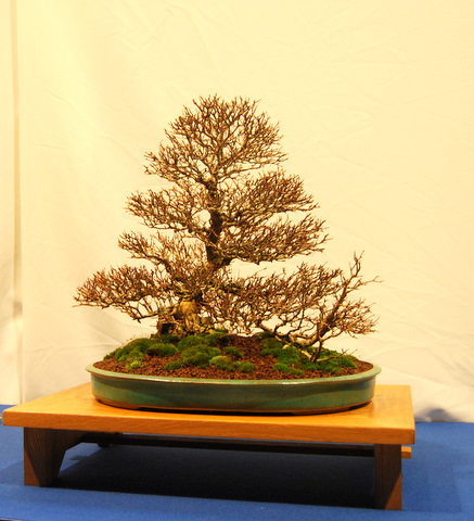 DSC_1495.JPG