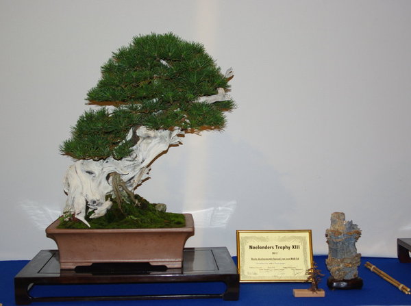 IMGP2731_1.JPG