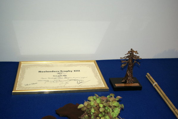 IMGP2743_1.JPG
