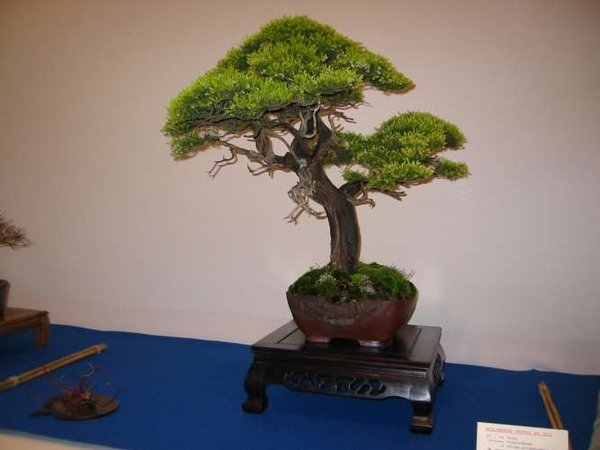 IMG_3609.jpg
