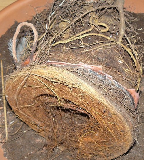 P1060850_1.jpg