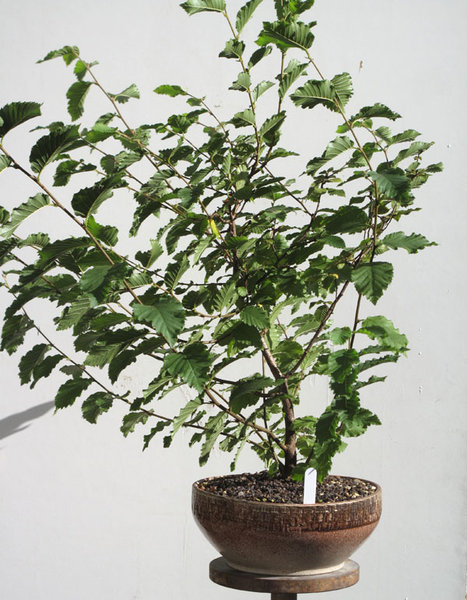 2012.10. 07.jpg