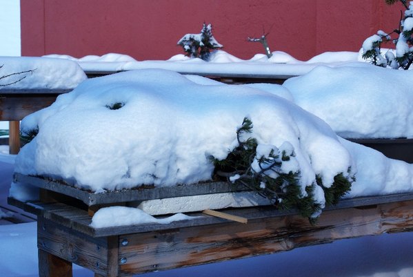 Überwinterung im Freien