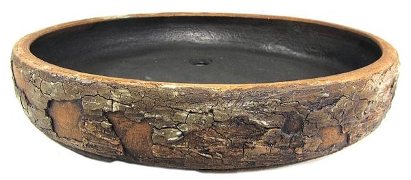 SK422_skodova-schale_bonsai.jpg