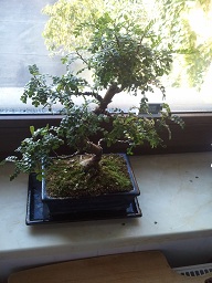 20121012_091840.jpg