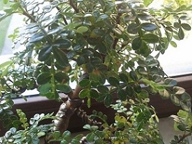 20121012_091936.jpg