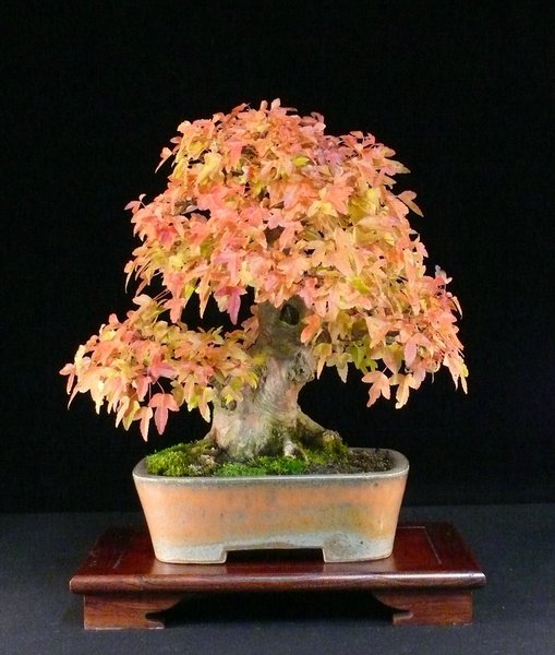 P1070196k.JPG