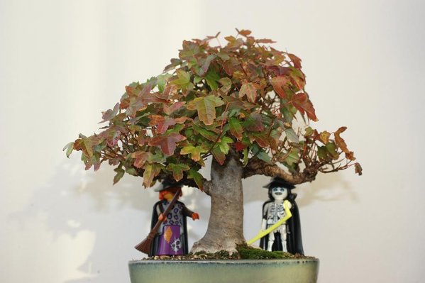 halloween 2012   3.jpg