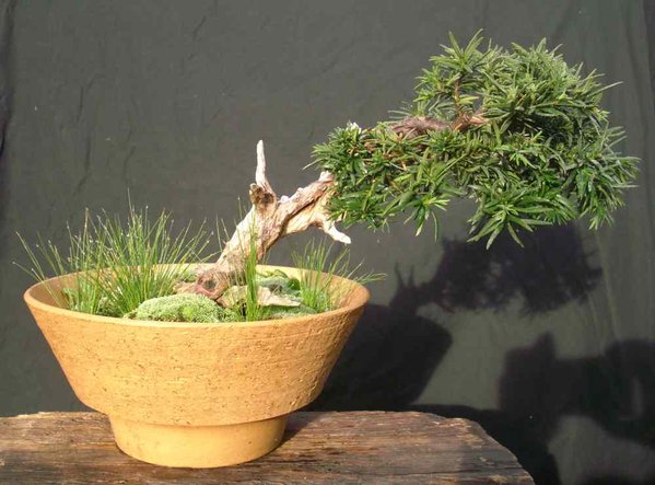 2012-09-11 04.44.46.jpg