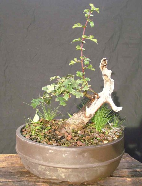 2012-09-11 04.46.24.jpg