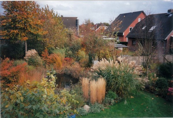 Teich-2001_0001.jpg