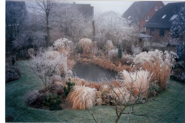 Teich-2001_0002.jpg