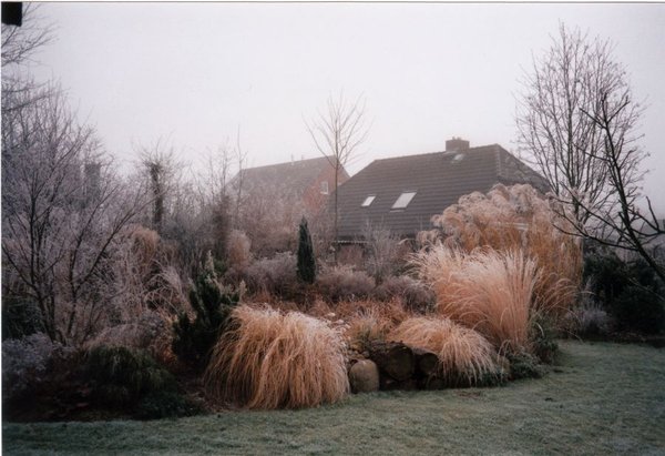 Teich-2001_0004.jpg