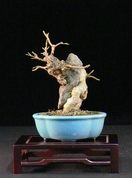 P1070230k.JPG