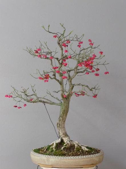 oktober 2012 006.jpg