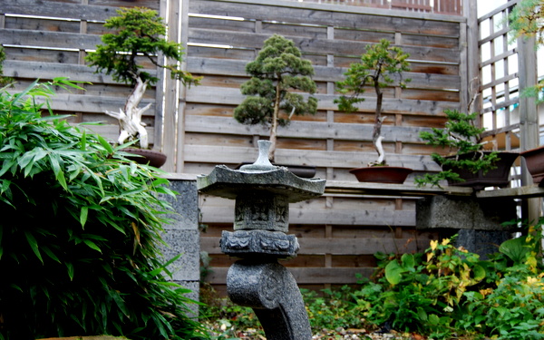 DSC_1525 (4).JPG