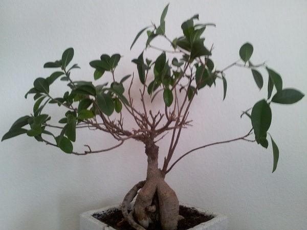 20121027_134653.jpg