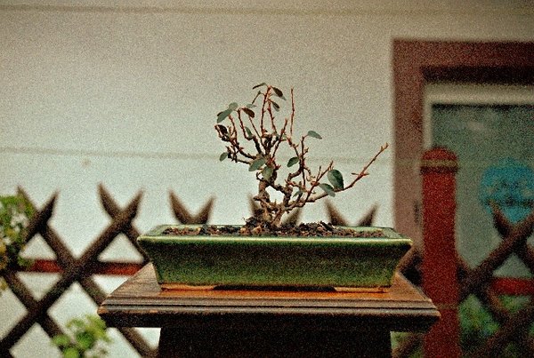 67.jpg