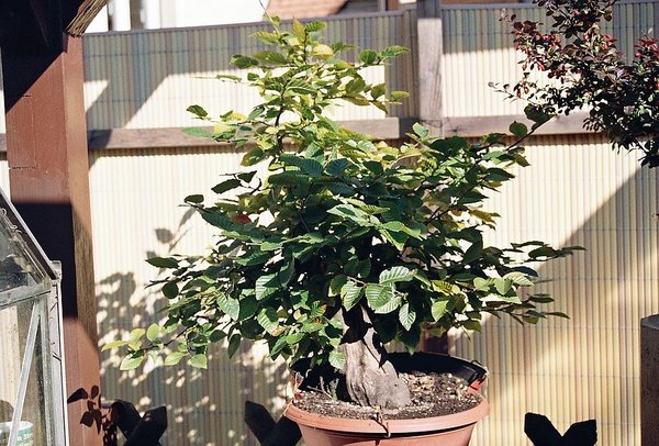Sommer 2012