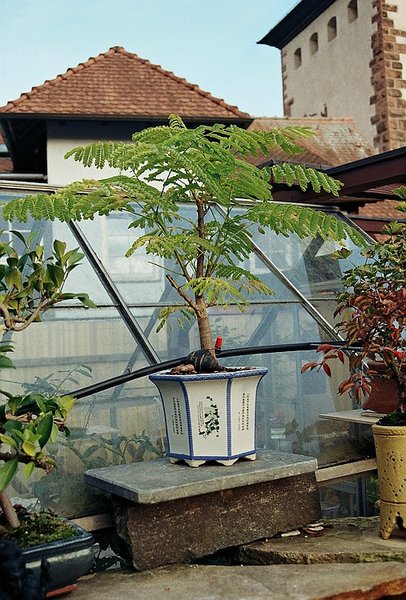 comp_R001-028 (2).jpg