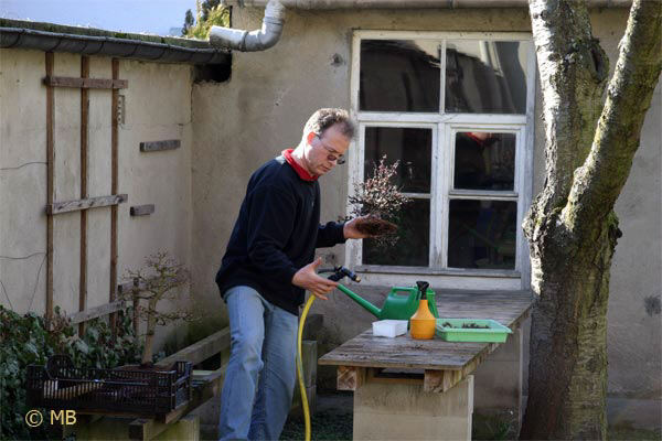 Hier noch eine interessante Einbein-Tanzeinlage mit Baum, Gartenschlauch und ... Dachrinne. ;-)
