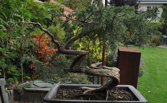 DSC_0004.JPG