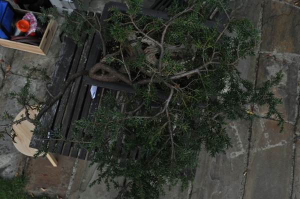 DSC_0008.JPG